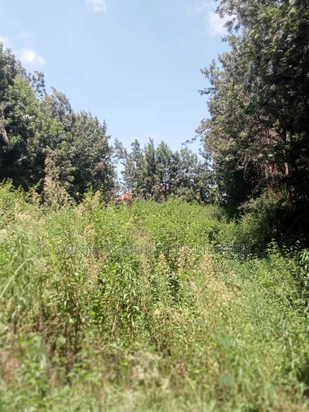 1/2 Acre for Sale