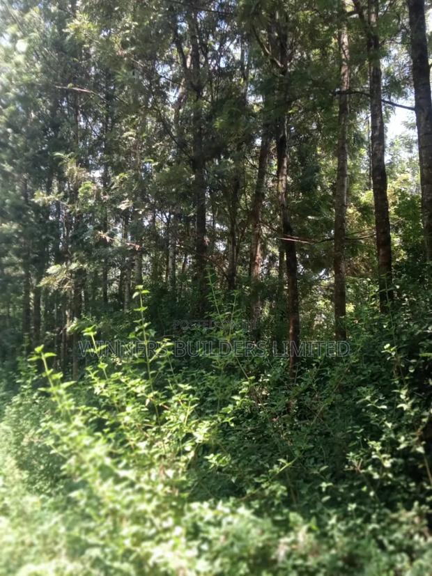 1/2 Acre for Sale