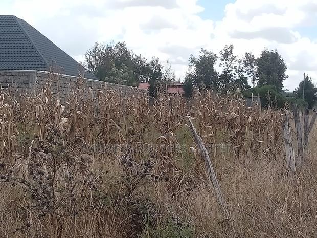 2 Plots for Sale