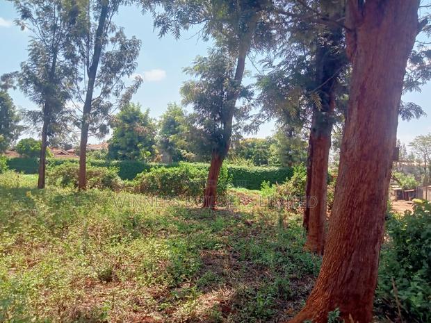 100 by 100 Plot for Sale at Kiamumbi