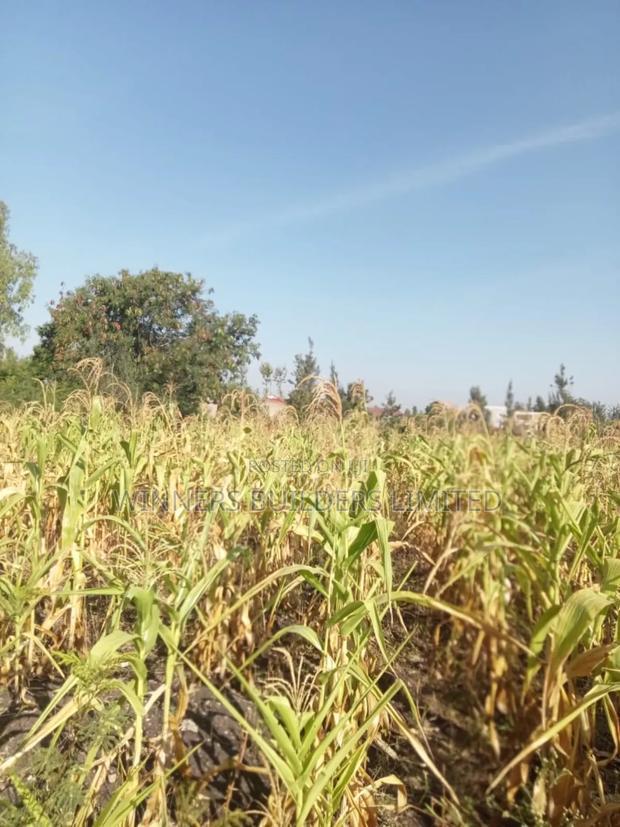 Selling 100*100 Plot at Kangundo Road Block 10