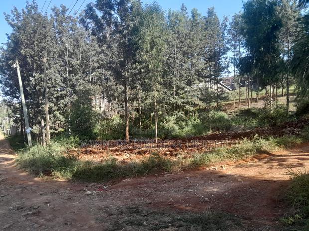 60 by 100 Plot for Sale at Kiamumbi
