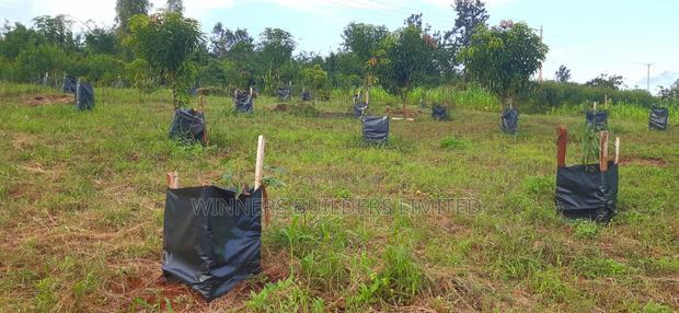 2 Acres for Sale at Makuyu