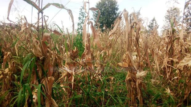 1 Acre for Sale at Kiu Kenda