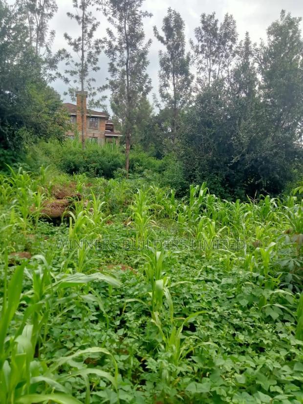50 * 100 Plot for Sale at Ngoingwa