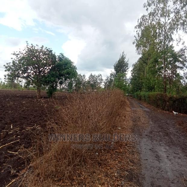 4 1/2 Acres for Sale in Riandira
