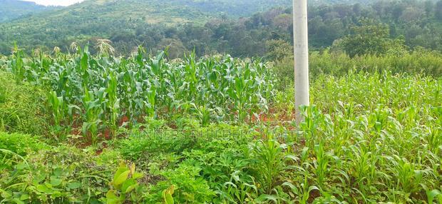 2 Acres for Sale at Makuyu