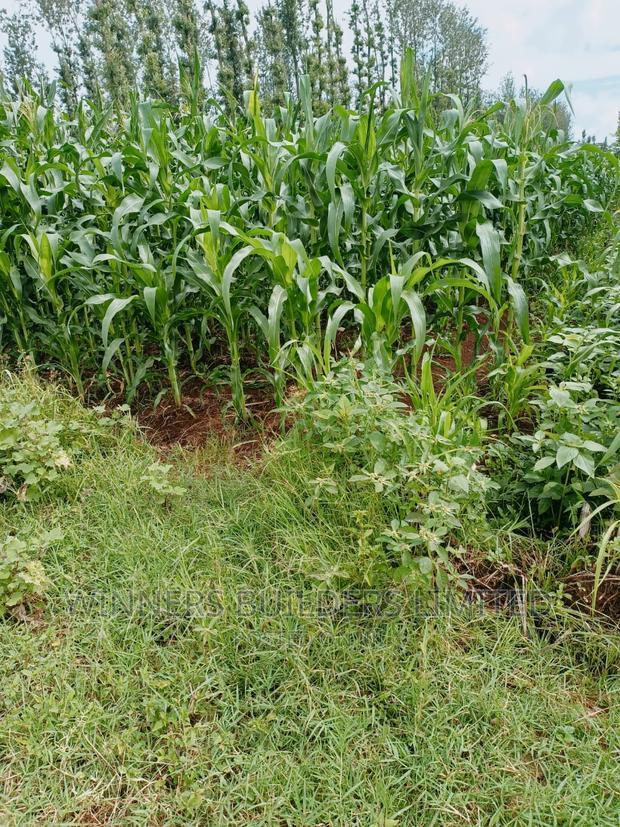 1 Acre for Sale at Kimbimbi