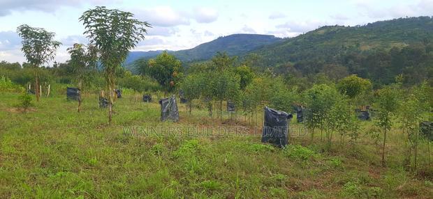 2 Acres for Sale at Makuyu
