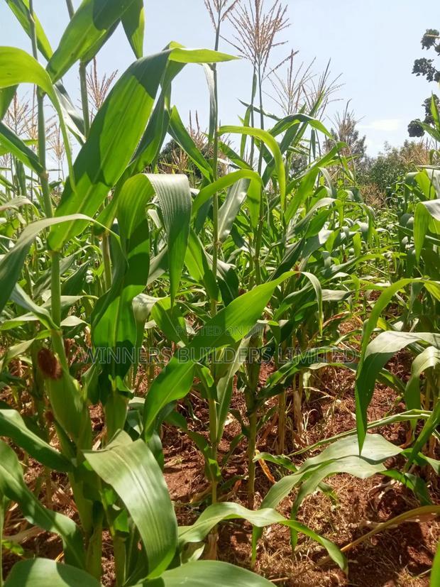 Land for Sale at Makuyu