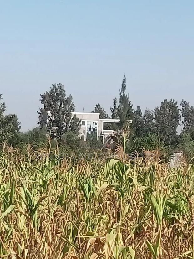 Selling 100*100 Plot at Kangundo Road Block 10