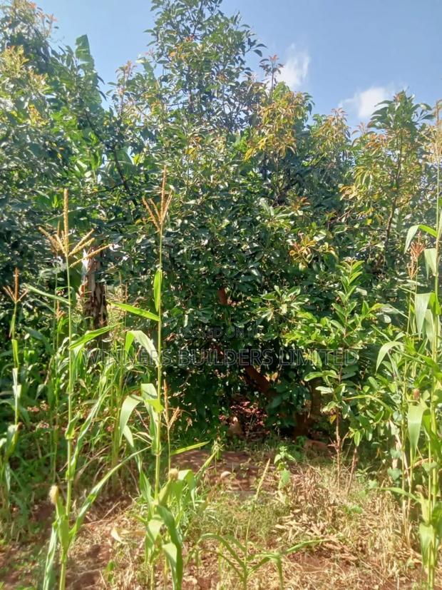 Land for Sale at Kamahuha