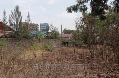 115 by 100 Corner Plot for Sale at Githurai 45