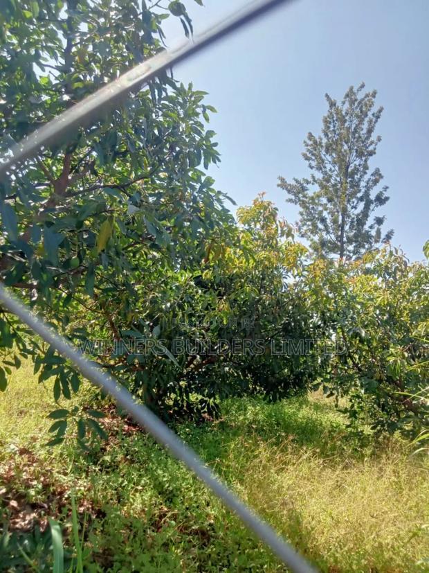 Land for Sale at Kamahuha