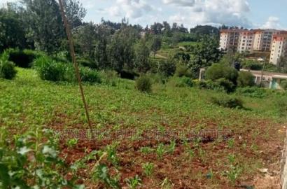 50 by 100 Plot for Sale at Kiamumbi