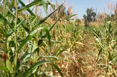 Land for Sale at Makuyu