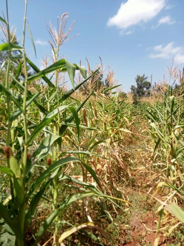 Land for Sale at Makuyu