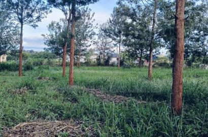 2 Acres for Sale at Kabati Riandegwa