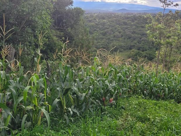 Land for Sale in Nyeri County