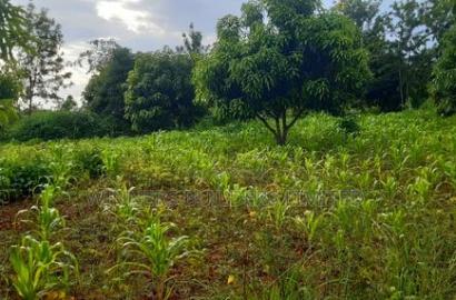 2 Acres for Sale at Makuyu