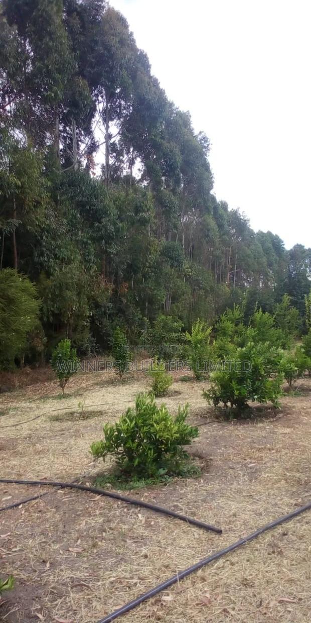 Land for Sale in Narumoro