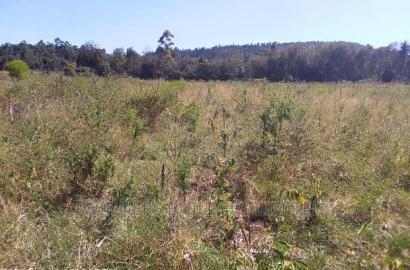 10 Acre at Muhotetu Laikipia West for Sale