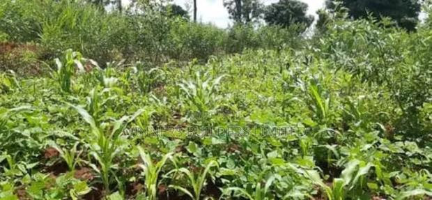 Land for Sale in Nyeri County