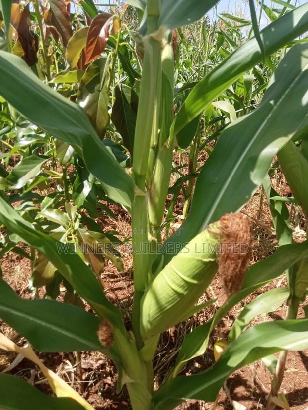 Land for Sale at Makuyu