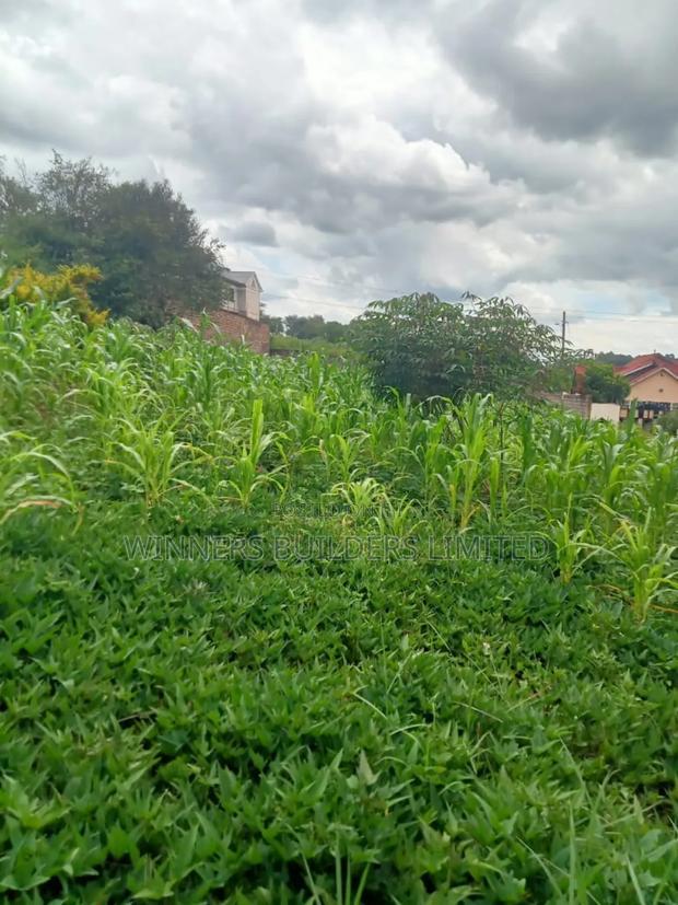 50 * 100 Plot for Sale at Ngoingwa