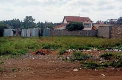 100 by 100 Plot for Sale at Githurai 45