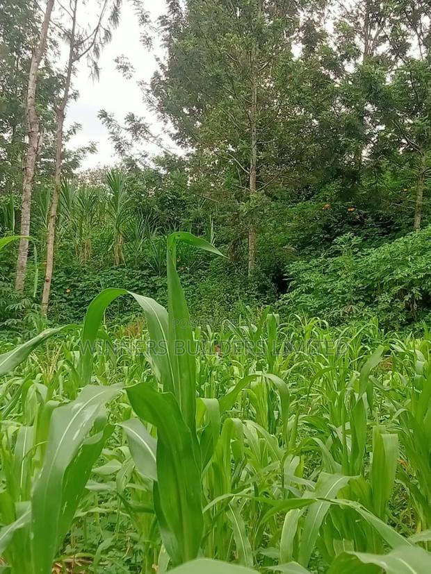 50 * 100 Plot for Sale at Ngoingwa