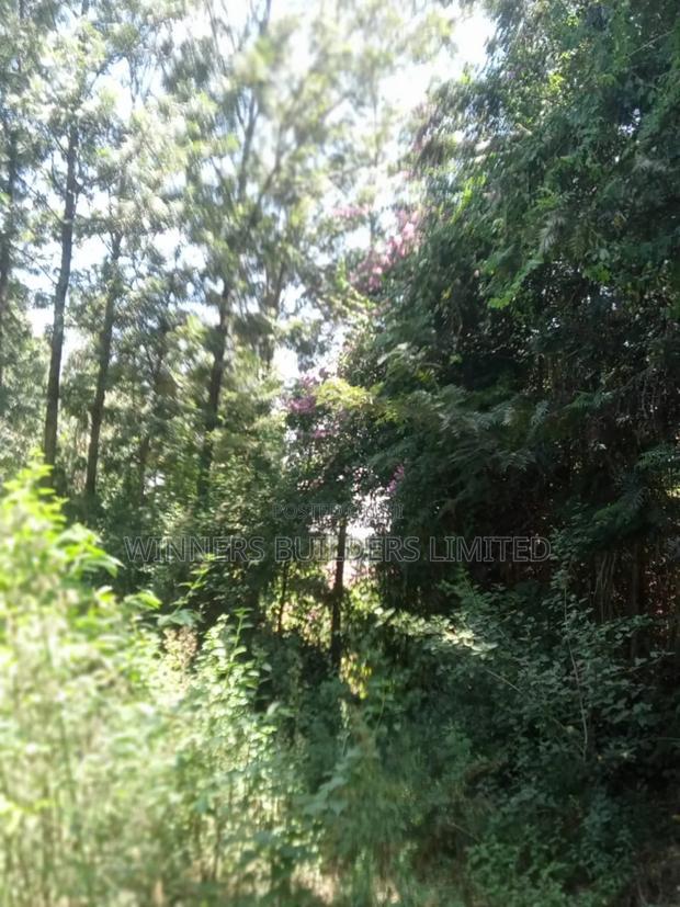 1/2 Acre for Sale