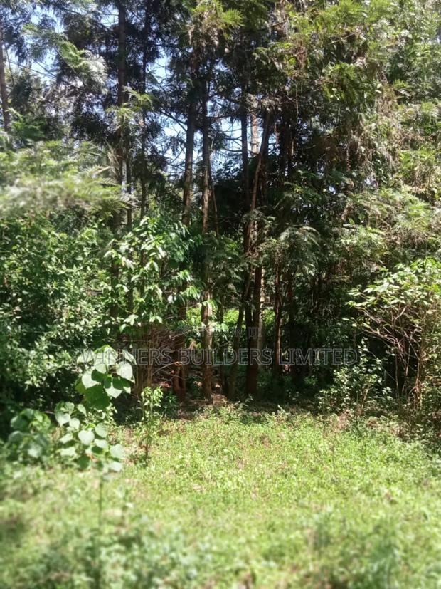 1/2 Acre for Sale