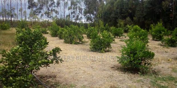 Land for Sale in Narumoro