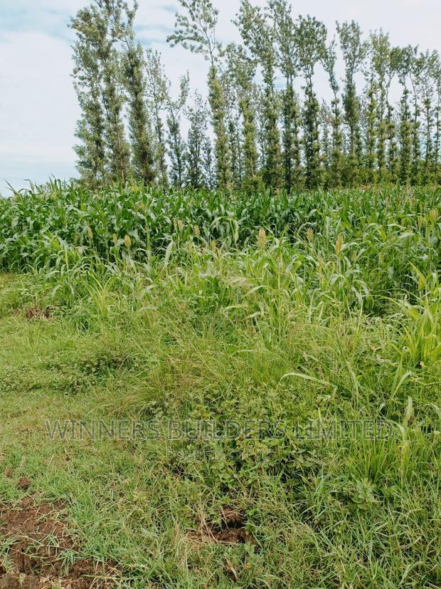 1 Acre for Sale at Kimbimbi