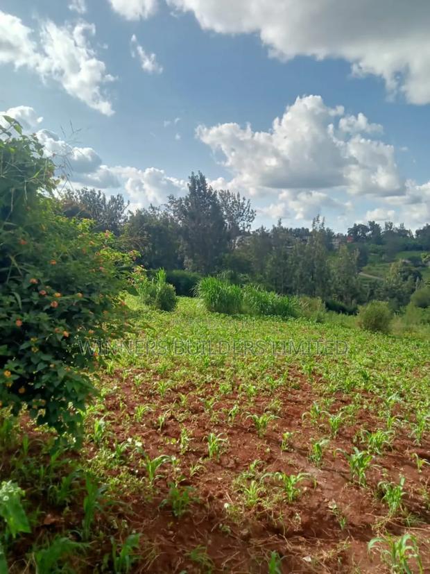 50 by 100 Plot for Sale at Kiamumbi