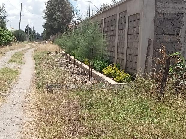 2 Plots for Sale