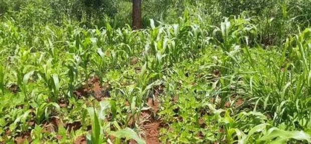 Land for Sale in Nyeri County