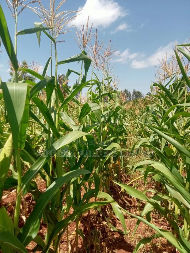 Land for Sale at Makuyu