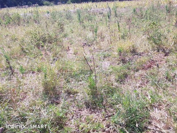 10 Acre at Muhotetu Laikipia West for Sale