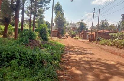 100 by 100 Plot for Sale at Kiamumbi
