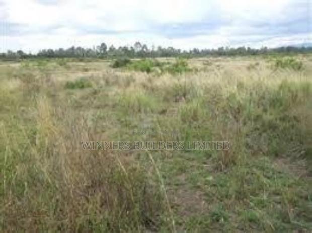 50* 80 Plot for Sale at Mwihoko