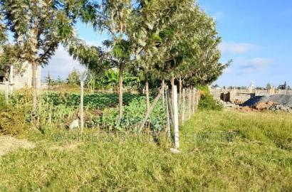 40 by 150 Plot for Sale at Mwihoko