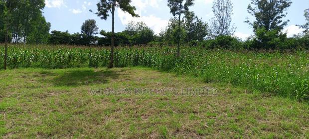 10acres for Sale in Laikipia County
