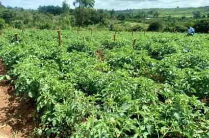 1 Acre for Sale at Maguguni