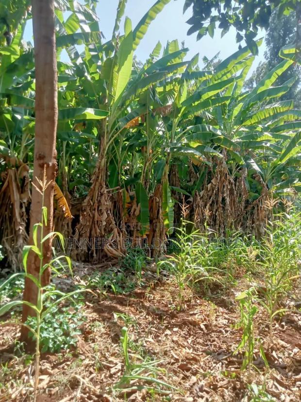 Land for Sale at Kamahuha