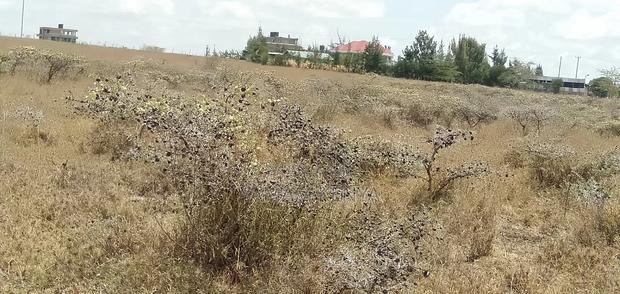 Plots for Sale
