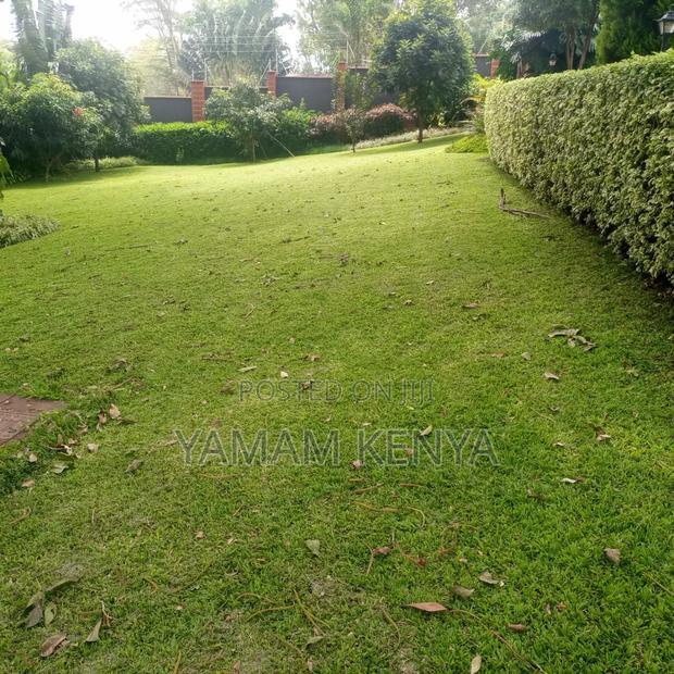 Plots for Sale