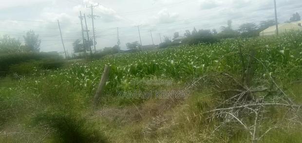 Plots for Sale