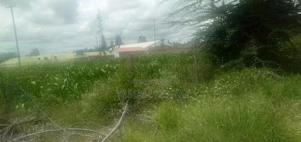 Plots for Sale